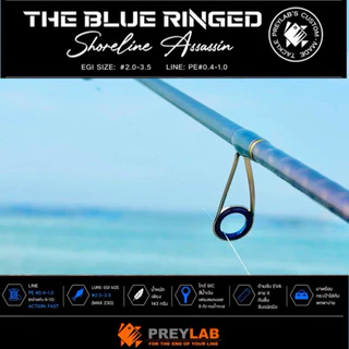 🦑 คันเบ็ดตกหมึก & ปลาชายฝั่ง “The Blue Ringed” จาก PREYLAB 🌊 แบบ 4 ท่อน พกพาสะดวก – ยาว 8.6 ฟุต 🐟
