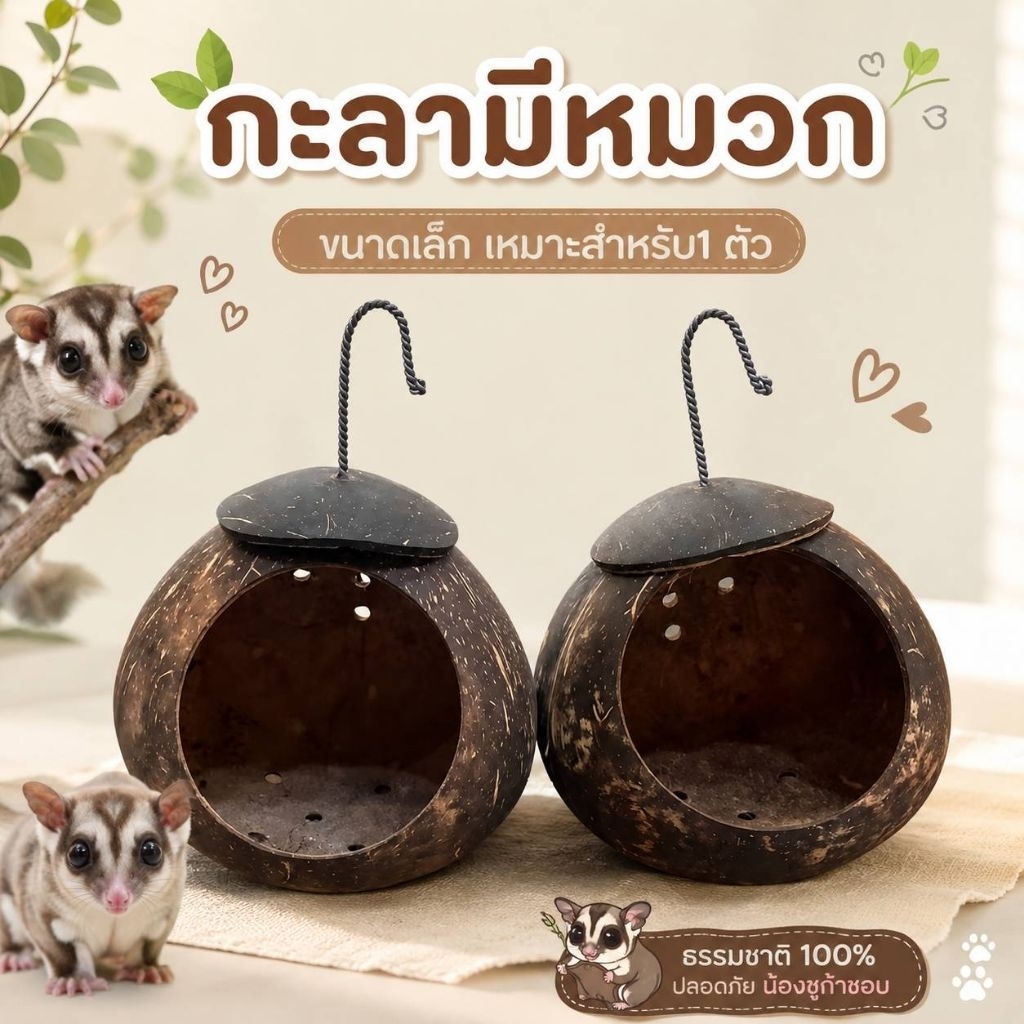 บ้านกะลาชูก้า ขนาดเล็ก เหมาะสำหรับ1ตัว