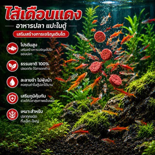 อาหารปลา 🐟พร้อมส่งทุกแบบ💕✅💯