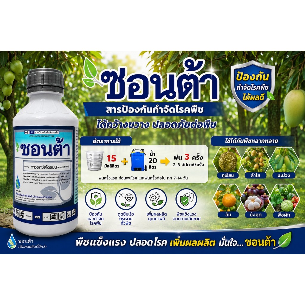 ซอนต้า ขนาด 1 ลิตร อะซอกซีสโตรบิน 25%SC โรคใบจุด โรคราสนิม และโรคกาบใบแห้งในข้าว สารเดียวกับอมิสตา
