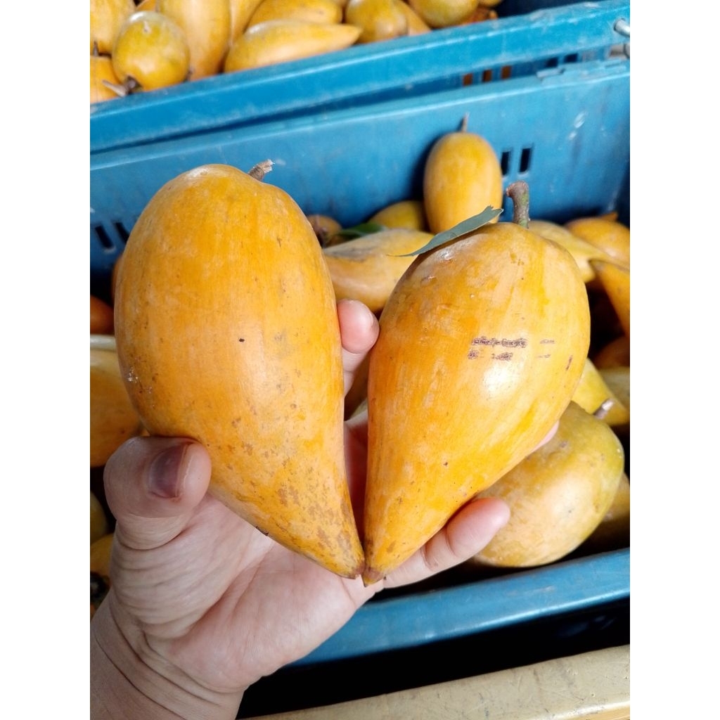 เซียนท้อ/ม่อนไข่/ละมุดอินเดีย กล่อง 2 โล🥭🥭