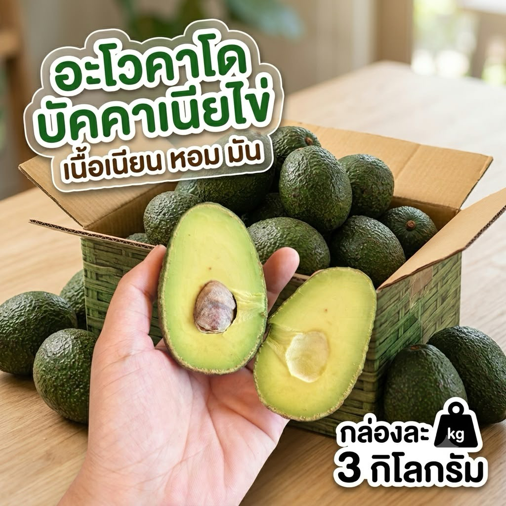 อะโวคาโดบัคคาเนียไข่ กล่องละ 3 กิโลกรัม