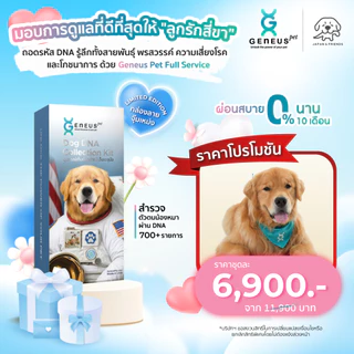 Geneus Pet | Dog DNA ตรวจ DNA สุนัข สายพันธุ์ สุขภาพ พรสวรรค์ นิสัย ภูมิแพ้ โภชนาการอาหาร | 1 กล่อง