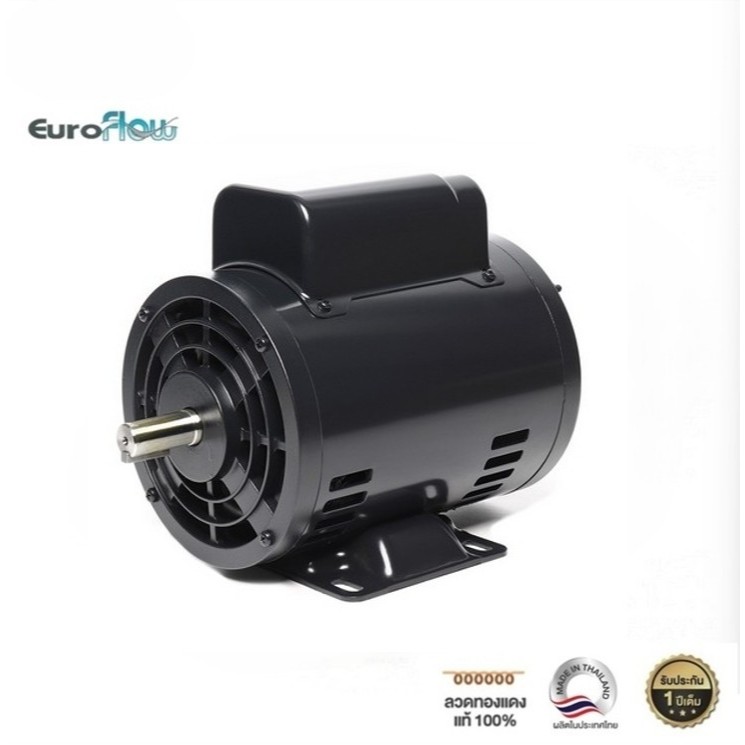 มอเตอร์ปั๊มลม Euroflow รุ่น SC-R 1/2 HP 4P 220V FR.80 ( G2) เพลา 16 มิล (เหมาะกับงานฉุดสายพาน)