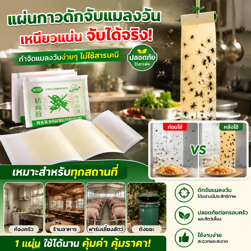 กระดาษดักแมลง.กาวดักแมลงวัน.แผ่นดักแมลงวัน.เทปกาวดักแมลงวัน.แผ่นกาวดักแมลงวัน ใช้ในครัว.แผ่นดักแมลงวัน มีสารดึงดูด