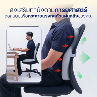 ErgoLab เบาะรองหลัง ARC Back Cushion - นั่งสบาย ไม่ปวดหลัง เมมโมรี่โฟมนุ่มพิเศษ โอบรับสรีระ รับประกันความพึงพอใจ 90 วัน