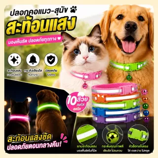 ปลอกคอแมวสะท้อนแสง พร้อมกระดิ่ง 🔔 ปลอดภัยตอนกลางคืน ไนลอนนุ่ม ปรับขนาดได้ ไม่รัดคอ สำหรับแมวและสุนัข