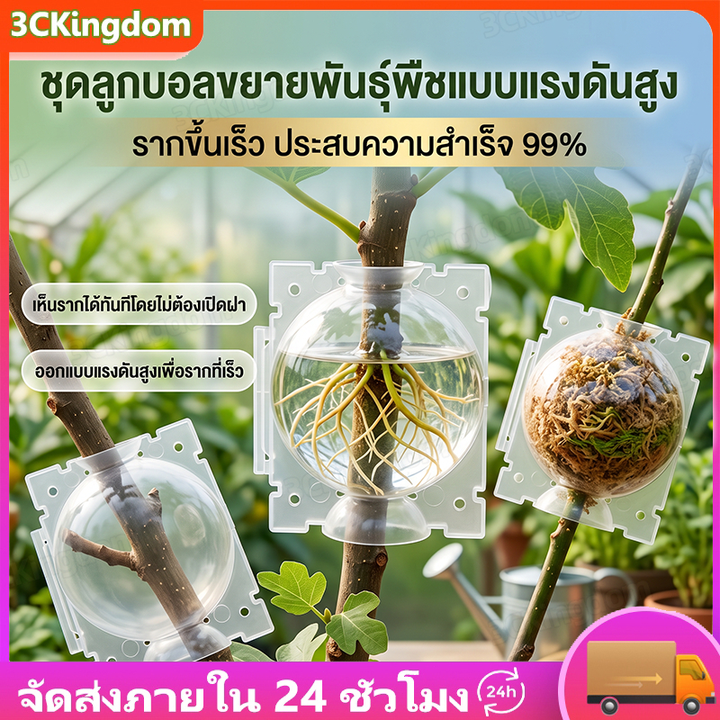 [50ชิ้น] ตุ้มตอนกิ่ง 4.5ซม.ขยายพันธุ์พืช ตอนกิ่ง ตอนต้นไม้ ใช้ซ้ำได้ ตุ้มตอนพลาสติก แบบใส ล็อคแน่น เห็นรากชัด เร่งราก