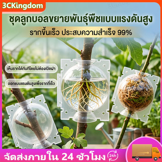 [50ชิ้น] ตุ้มตอนกิ่ง 4.5ซม.ขยายพันธุ์พืช ตอนกิ่ง ตอนต้นไม้ ใช้ซ้ำได้ ตุ้มตอนพลาสติก แบบใส ล็อคแน่น เห็นรากชัด เร่งราก