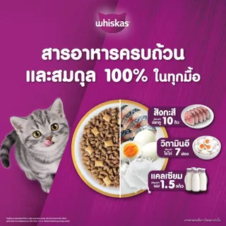 WHISKAS วิสกัส จูเนียร์ อาหารลูกแมว ชนิดแห้ง 1.1 กก.
