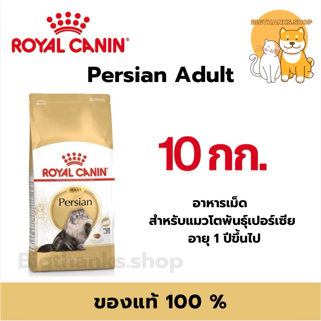 Royal canin Adult Persian 10 kg. แมวโตพันธุ์เปอร์เซีย อายุ 1 ปีขึ้นไป