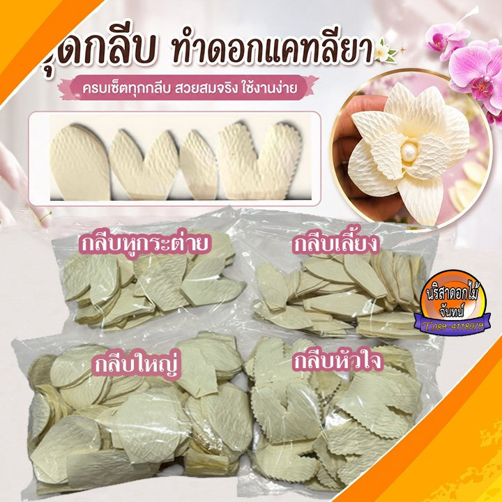 กลีบทำดอกแคทลยา ทำดอกไม้จันทน์ทำง่าย พร้อมทำ ทำได้ประมาณ 400 ดอก