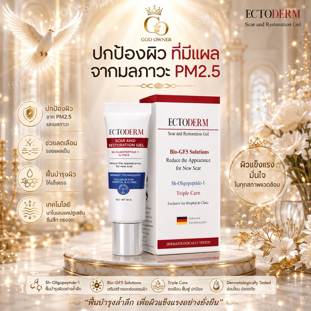 ECTODERM Scar and Restoration Gel +แถม ของแท้ จำหน่ายโดยคลินิก ผลิตภัณฑ์ที่ช่วยสมานแผล Exp.07/01/202
