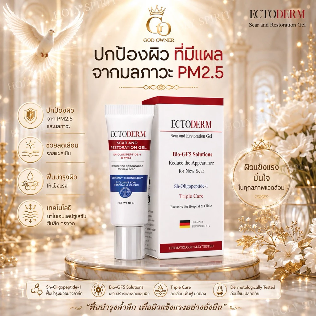 ECTODERM Scar and Restoration Gel +แถม ของแท้ จำหน่ายโดยคลินิก ผลิตภัณฑ์ที่ช่วยสมานแผล Exp.07/01/2027