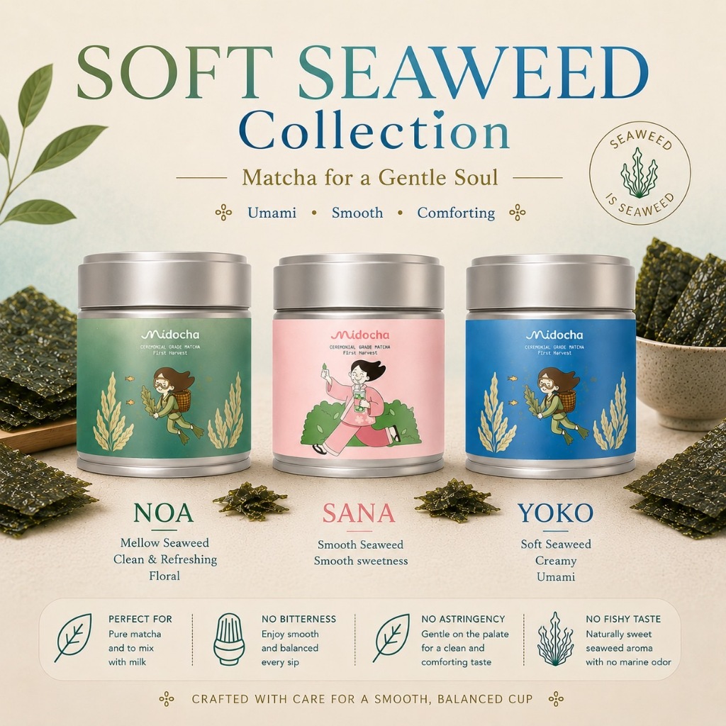 Soft Seaweed SET: 3pcs of 1st Spring Harvest Matcha