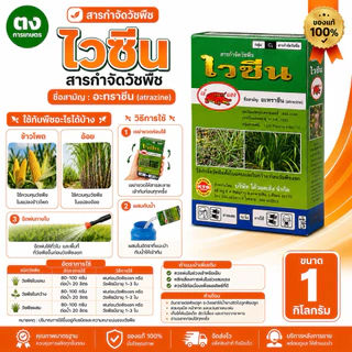 ไวซีน เข้แดง อะทราซีน 80% WP 1 กิโลกรัม ของแท้ 100% สารกำจัดวัชพืช กำจัดหญ้าใบกว้างและกก