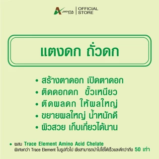 ถั่วดก แตงดก ผสมเทียม เปลี่ยนเพศดอก ฮอร์โมนบำรุงพืช สำหรับ ถั่ว แตง สร้างตาดอก เร่งติดผล ทนโรค เอเจนต้า คอร์ป