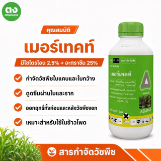 เมอร์เทคท์ ADAMA ปีผลิต 2023 มีโซไตรโอน 2.5% + อะทราซีน 25% 1 ลิตร สารกำจัดวัชพืช ของแท้