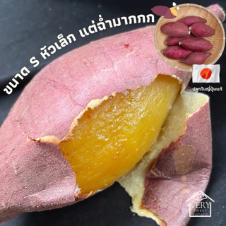 มันหวานญี่ปุ่น เบนิฮารุกะ S นำเข้าจากประเทศญี่ปุ่นแท้