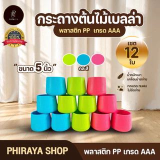 กระถางต้นไม้ เบลล่า มินิมอล 5 7 9 นิ้ว ขายส่งยกโหล พลาสติก PP เกรด AAA