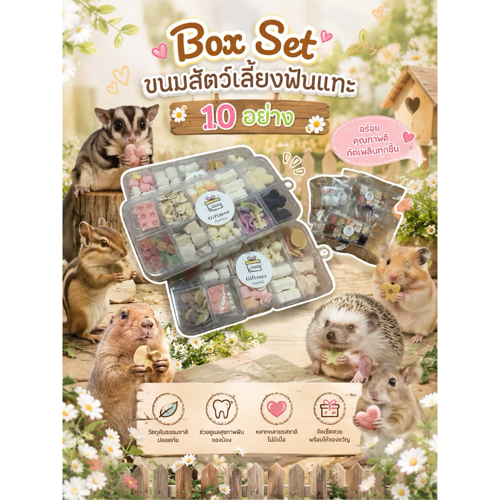🎲box set 10 อย่าง ขนมสัตว์เลี้ยงฟันแทะ ชูการ์ไกรเดอร์ กระรอก แฮมเตอร์