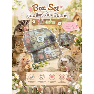 🎲box set 10 อย่าง ขนมสัตว์เลี้ยงฟันแทะ ชูการ์ไกรเดอร์ กระรอก แฮมเตอร์