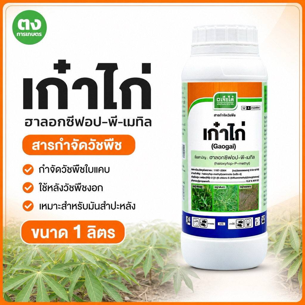 เก๋าไก่ เจียไต๋ ฮาลอกซีฟอป-พี-เมทิล 10.8% EC ขนาด 1 ลิตร สารกำจัดวัชพืชใบแคบ ยาฆ่าหญ้าในมันสำปะหลัง