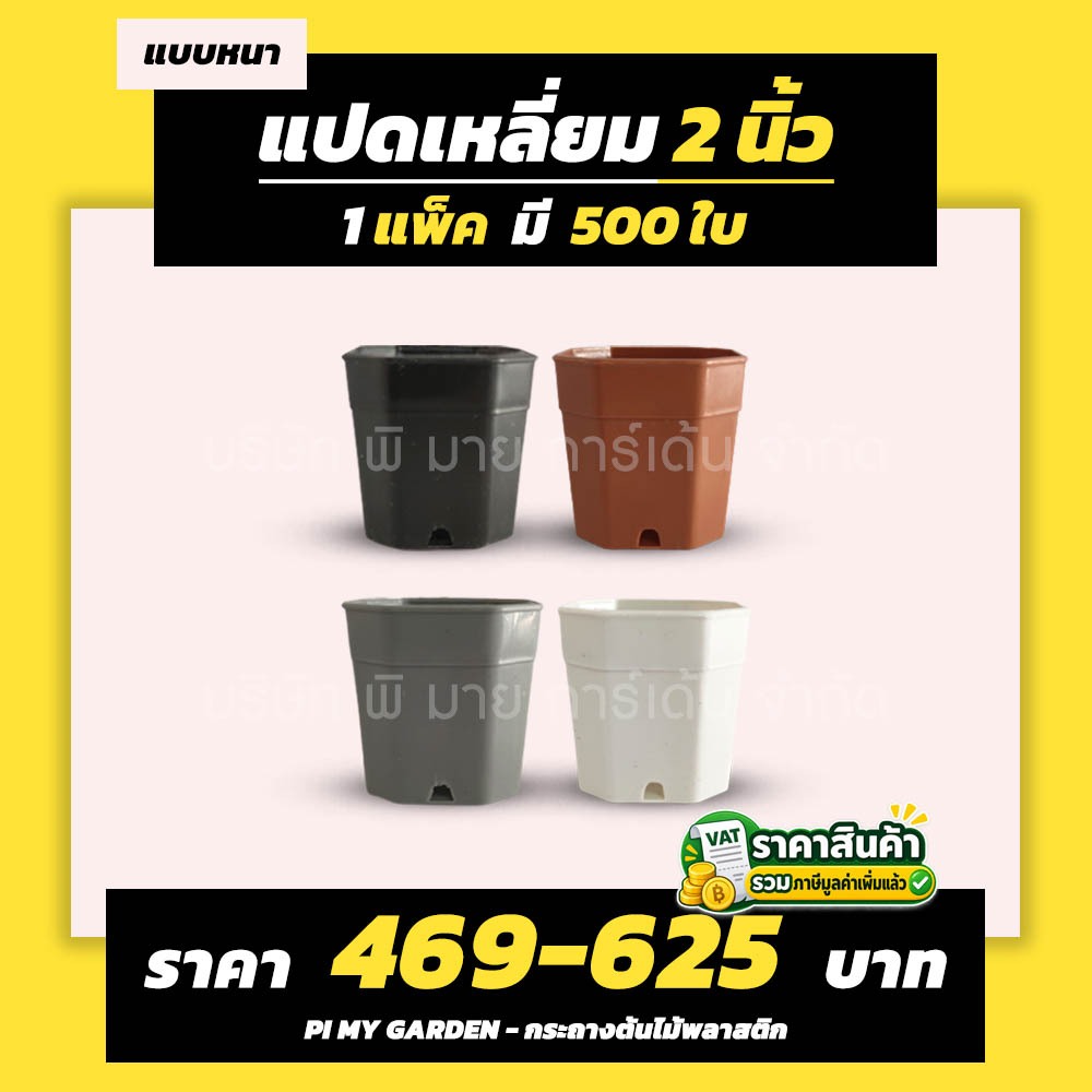กระถางแคคตัส ทรงแปดเหลี่ยม 2 นิ้ว สีขาว สีดำ สีเทา สีอิฐ แพ็ค 500 ใบ