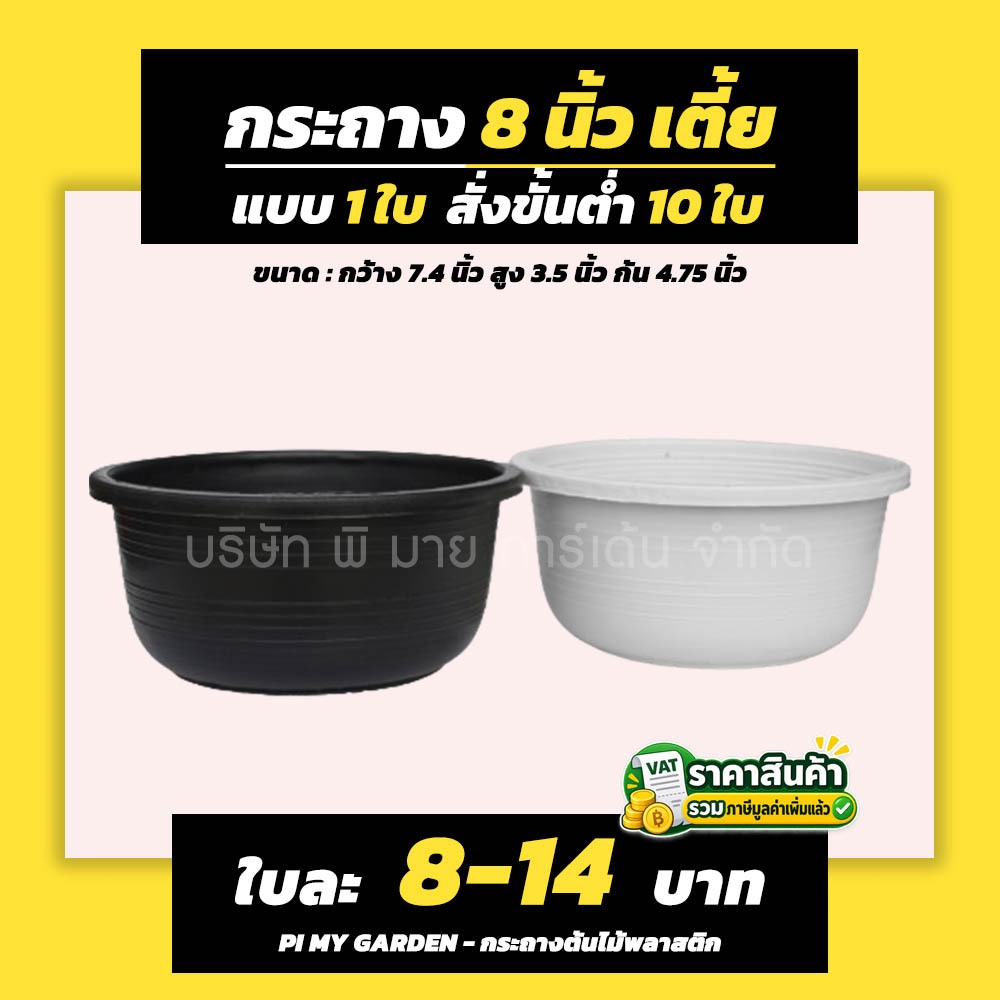 กระถางต้นไม้ ทรงเตี้ย 8 นิ้ว สีดำ สีขาว ขั้นต่ำ 15 ใบ