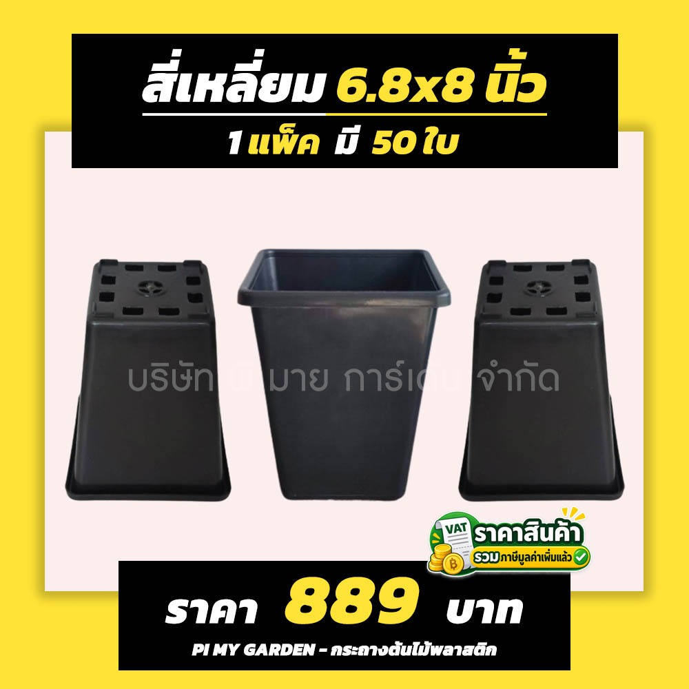 กระถางต้นไม้ ทรงสี่เหลี่ยม สูง 6.8x8 นิ้ว สีขาว สีดำ สีเขียว แพ็ค 50 ใบ (1 แกลลอน)