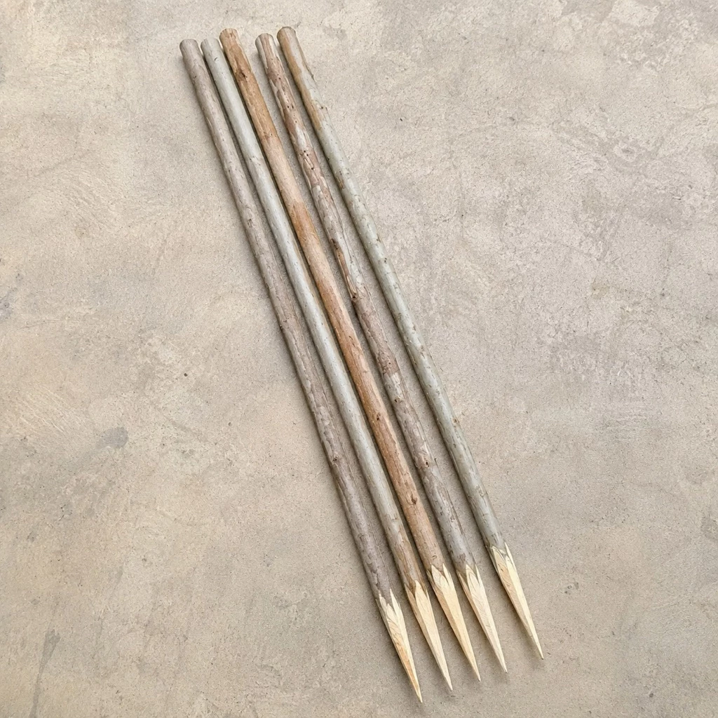 ไม้ยูคาแหลม 1 ท่อน **เลือกความยาวได้ถึง 2 เมตร ใช้ปักหมุก ค้ำยัน ล้อมต้นไม้ งาน DIY (ราคาต่อท่อน)