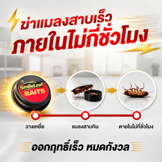 [ แนะนํา]💀MDB ล่อแมลงสาบ 💀ได้ผล100% กำจัดแมลงสาบอย่างถาวร ที่ดักแมลงสาบ กับดักแมลงสาบ ยาฆ่าแมลงสาบ 1คืนฆ่าตายหมด