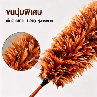 HH ไม้ปัดฝุ่นขนไก่ ด้ามยาว ขนนุ่ม จัดเก็บง่าย ดักฝุ่นดี ไม่ฟุ้งกระจาย ใช้ทำความสะอาดบ้าน/รถยนต์