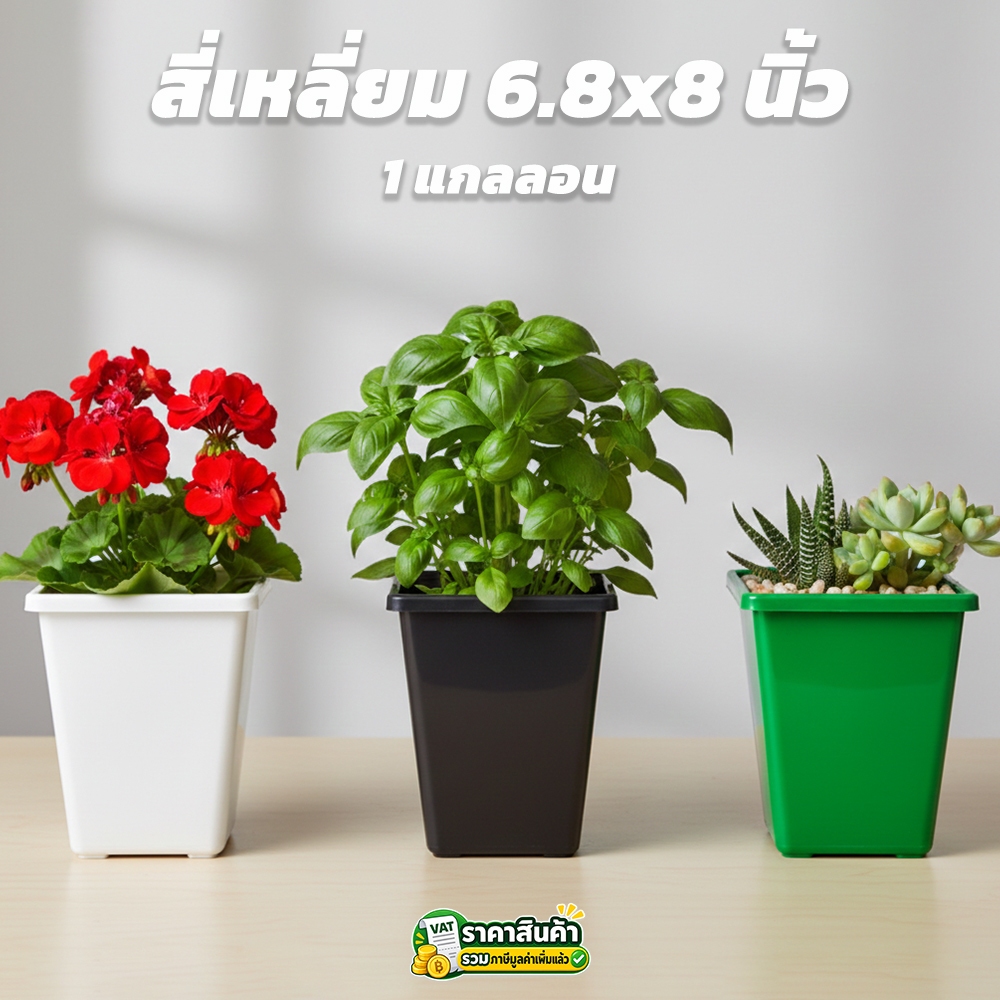 กระถางต้นไม้ ทรงสี่เหลี่ยม สูง 6.8x8 นิ้ว สีขาว สีดำ สีเขียว แพ็ค 10 ใบ (1 แกลลอน)