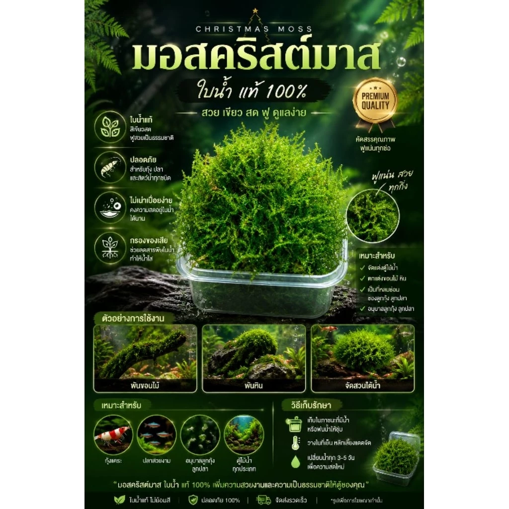 🍀มอสน้ำ🍀คริสต์มาส🌿ประดับตู้ปลา🌸งานจัดสวน🌸ขนาดถ้วย 3 ออน