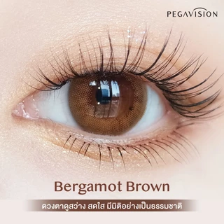 (NEW) PEGAVISION คอนแทคเลนส์สี รายวัน รุ่น KAORI สี Bergamot Brown (10 เลนส์/กล่อง)