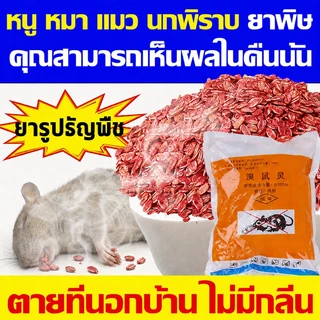 🔥ยาฆ่าหนู หนูชอบมาก ตายแห้ง เหยื่อกำจัดหนู ตายแห้ง ไม่เหม็น 100%ได้ผล ใช้ได้ในบ้านและรอบบ้าน ยาเบื่อ
