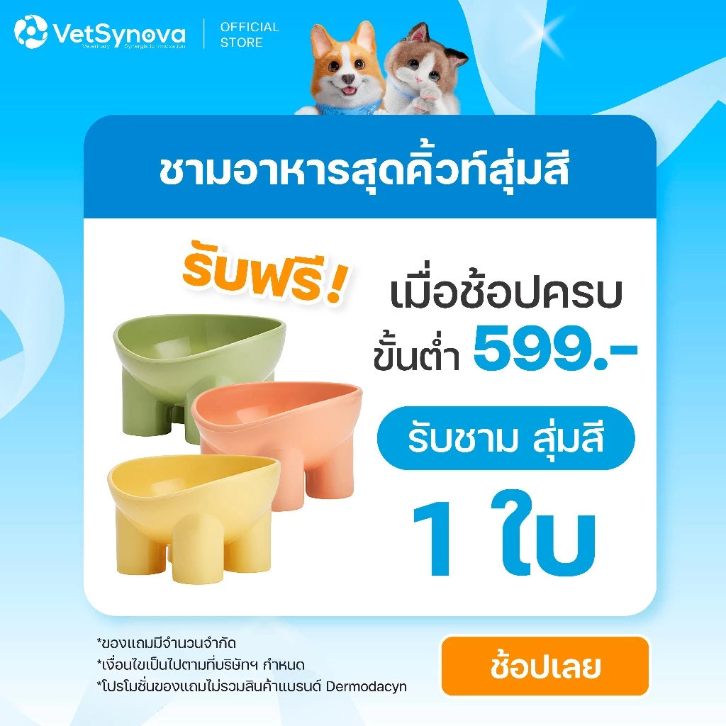(สินค้าสมนาคุณงดจำหน่าย) ชามอาหารสุดคิ้วท์สุ่มสี จำนวน 1 ใบ