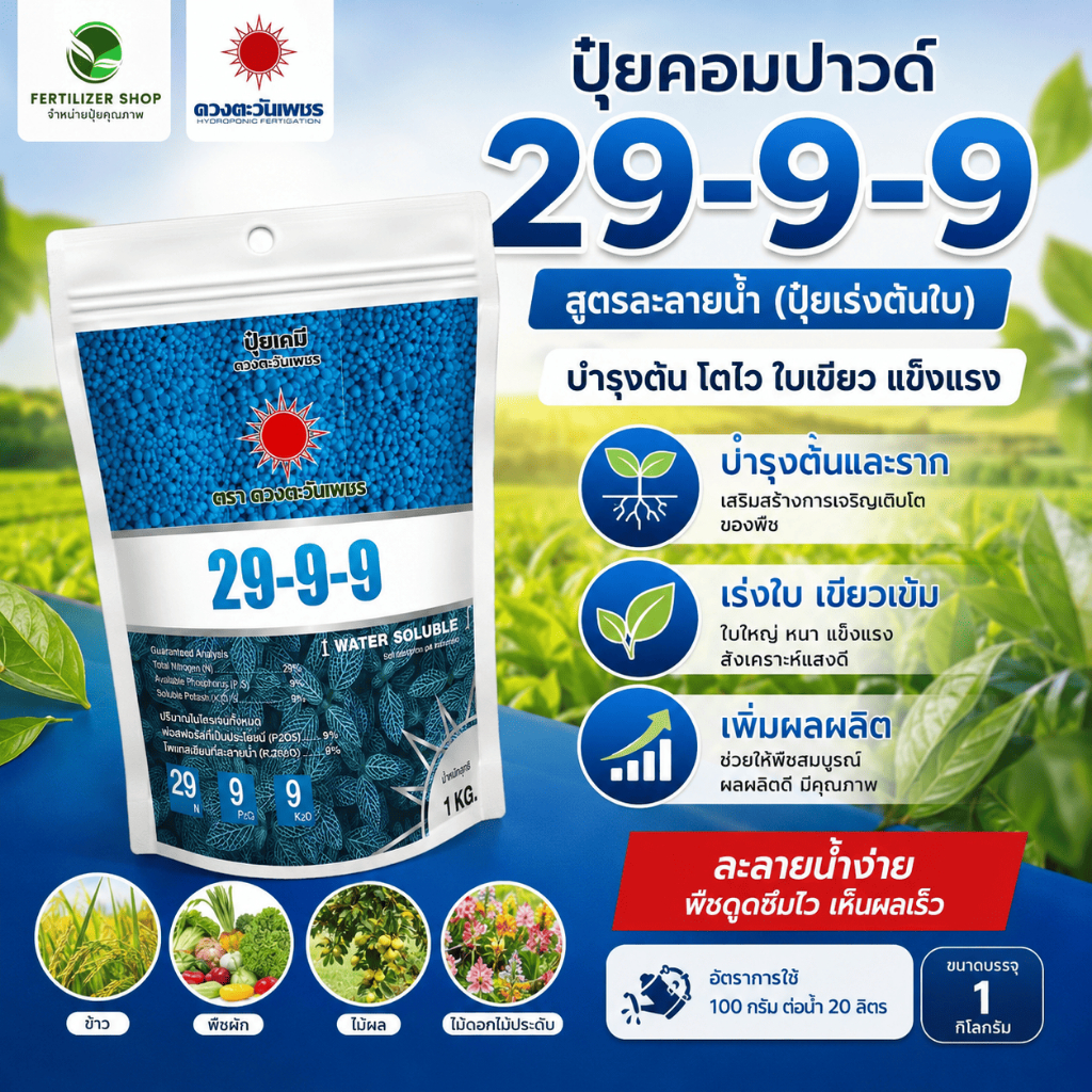 29-9-9 แบรนด์ (ขนาด 1kg) ดวงตะวันเพชร.