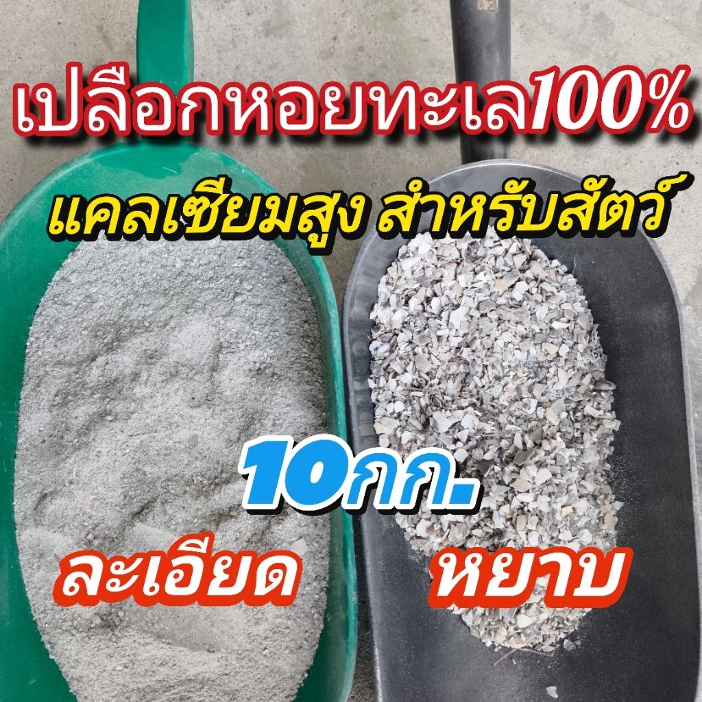[10กก.]เปลือกหอยทะเล​แคลเซียมให้ไก่ไข่​ เป็ดไข่​หยาบ/ ละเอียด