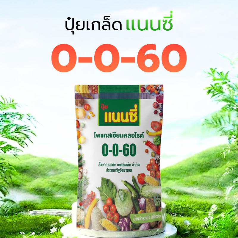 ปุ๋ยเกล็ด แนนซี่ 0-0-60 ปุ๋ยหวาน เพิ่มน้ำหนัก ขยายขนาดผล เร่งลงหัว เพิ่มแป้งและน้ำตาล ขนาด 1 กก.