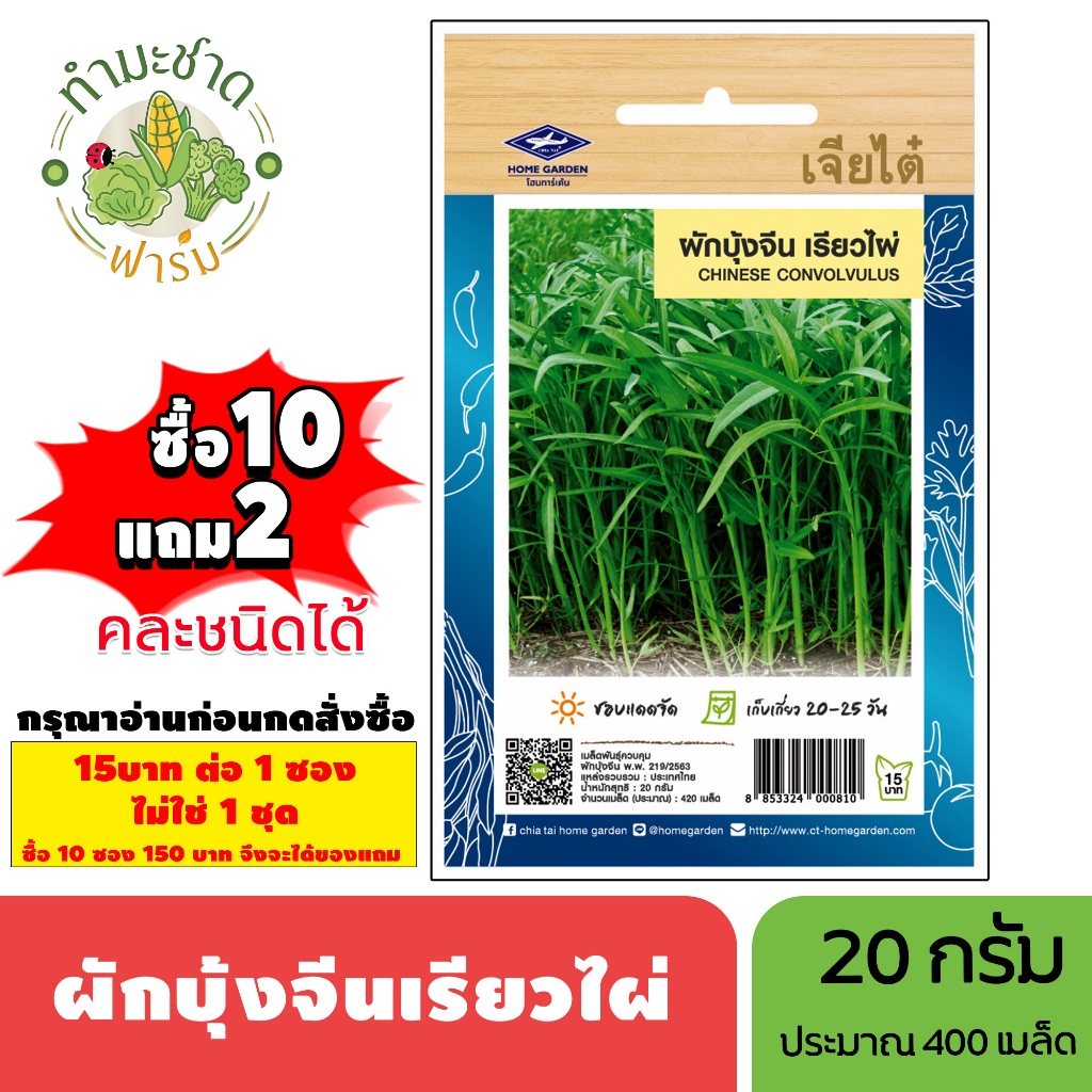 [1ซอง] เจียไต๋ (ซื้อ10แถม2) เมล็ดพันธุ์ ผักบุ้งจีนเรียวไผ่ ขนาด20กรัม ประมาณ420เมล็ด Water Spinach ผักบุ้งจีนใบไผ่ เมล็ด