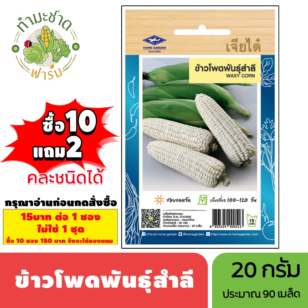[1ซอง] เจียไต๋ (ซื้อ10แถม2) เมล็ดพันธุ์ ข้าวโพดพันธุ์สำลี ขนาด20กรัม ประมาณ90เมล็ด Waxy corn ข้าวโพดข้าวเหนียว เมล็ดพันธ