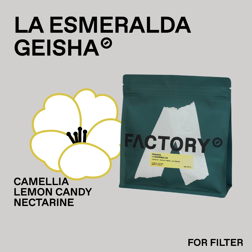 Factory Coffee เมล็ดกาแฟ Panama - La Esmeralda (Geisha) l Natural Process (บรรจุ100g)