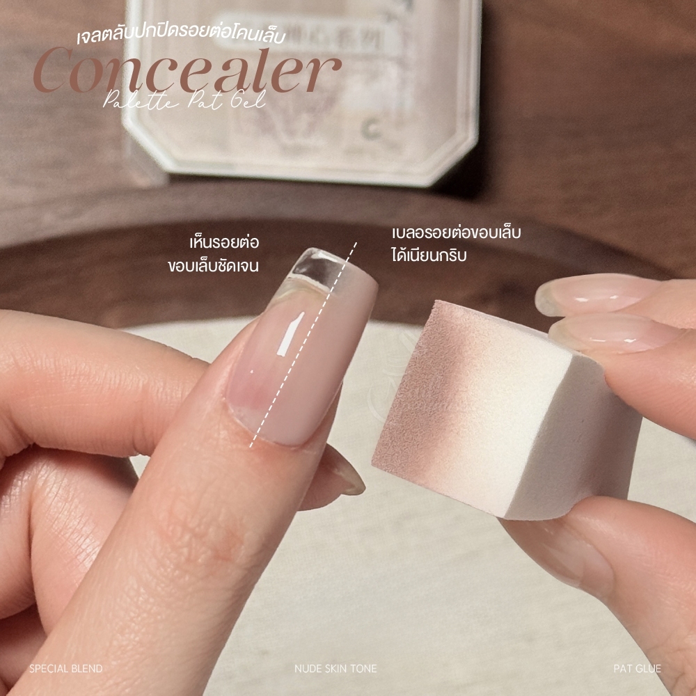 GAOY คอนซีลเลอร์ เจลตลับปกปิดรอยต่อโคนเล็บ 4 สี H10-H13 เนื้อแน่น เกลี่ยง่าย ช่วยเบลอขอบเล็บต่อให้ดู