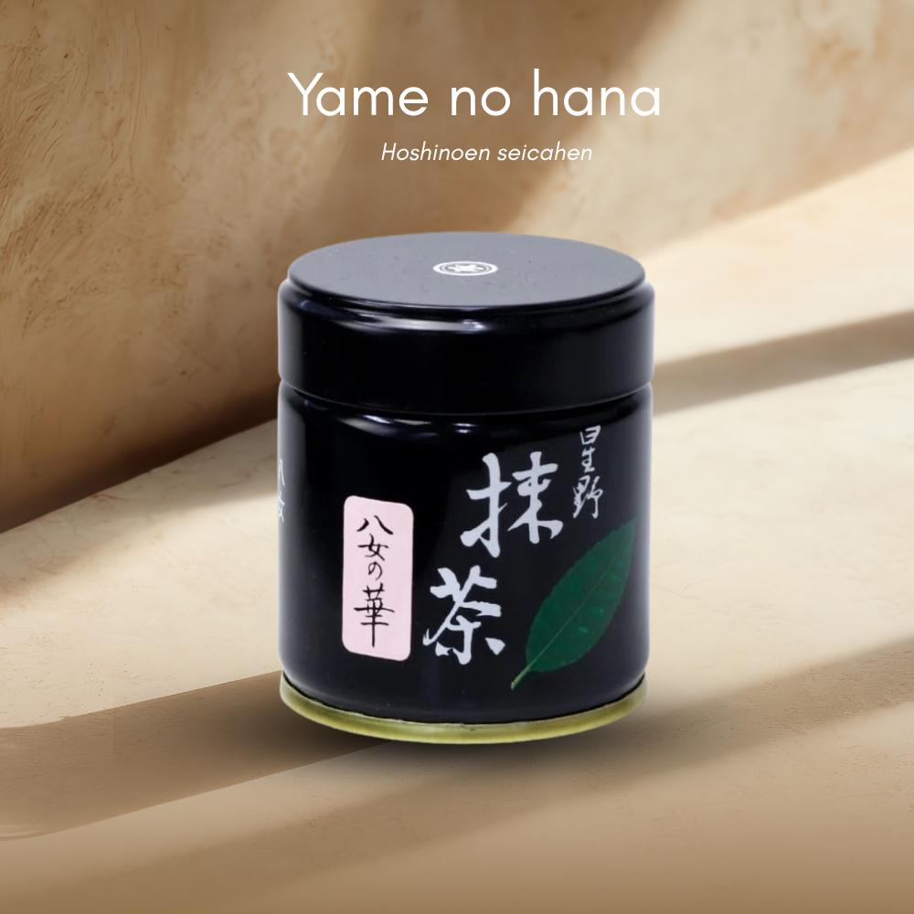 Yame no hana จาก Hoshino ล็อตใหม่ของแท้จากญี่ปุ่น