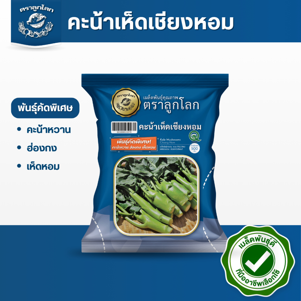 ตราลูกโลก เมล็ดคะน้า เห็ดหอม Kale mushrooms เมล็ดพันธุ์ผัก ผักสวนครัว ผักซอง ลูกโลก ขนาด 500 กรัม