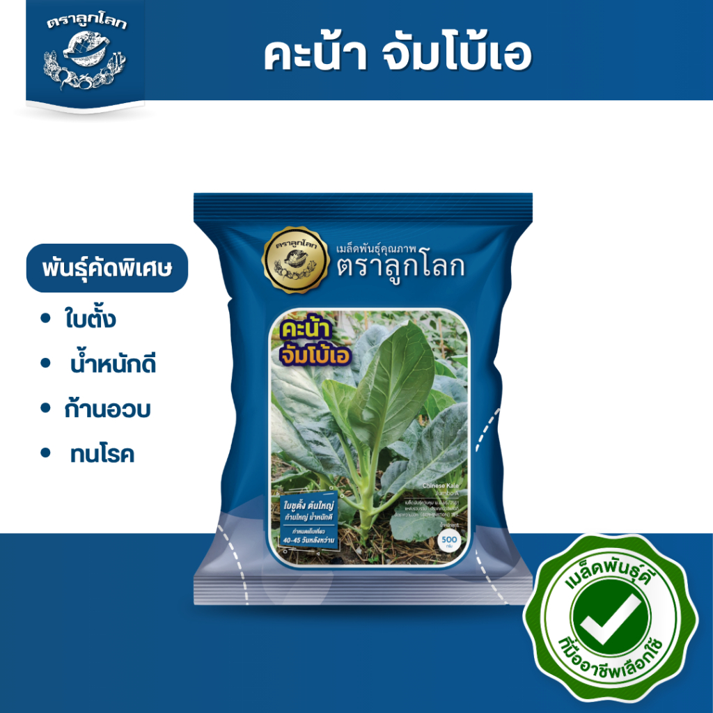 ตราลูกโลก เมล็ดคะน้า จัมโบ้A Kale เมล็ดพันธุ์ผัก ผักสวนครัว ผักซอง ลูกโลก