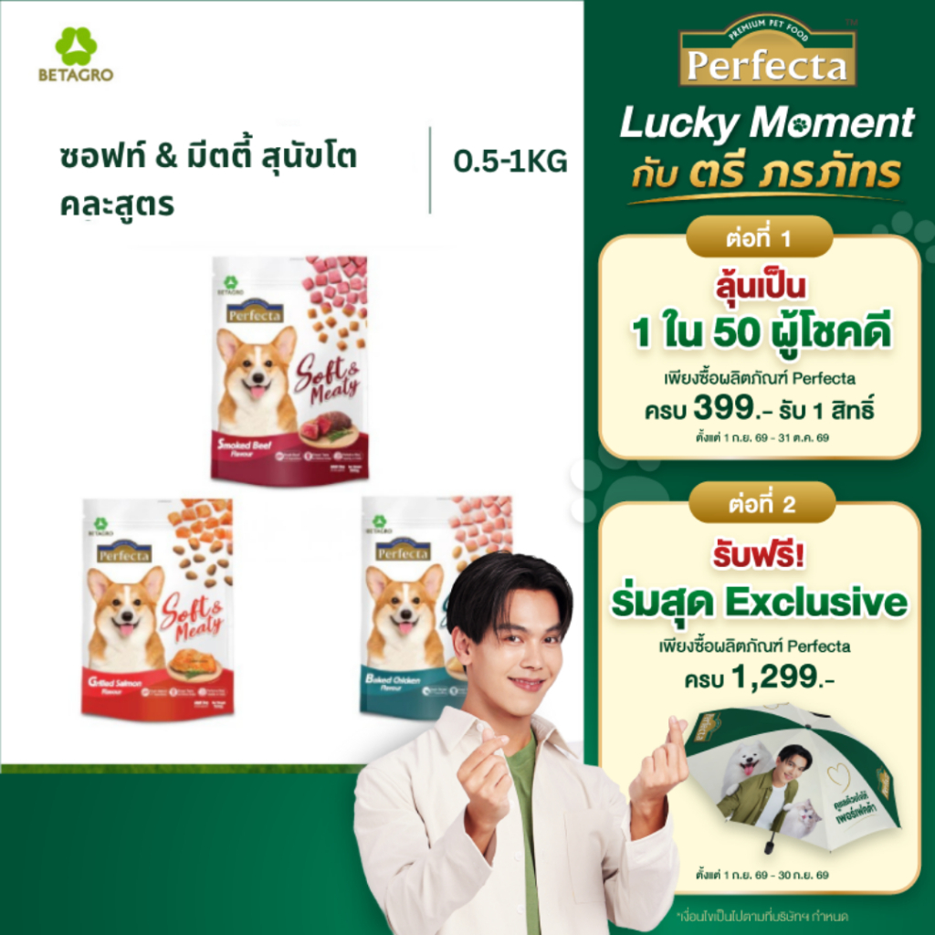 Perfecta อาหารสุนัข เม็ดนิ่ม Soft & Meaty สุนัขโตอายุ 1 ปี ขึ้นไป อร่อยเต็มคำ คละไซส์ ขนาด 0.5-1 กก. (เลือกรสชาติได้)