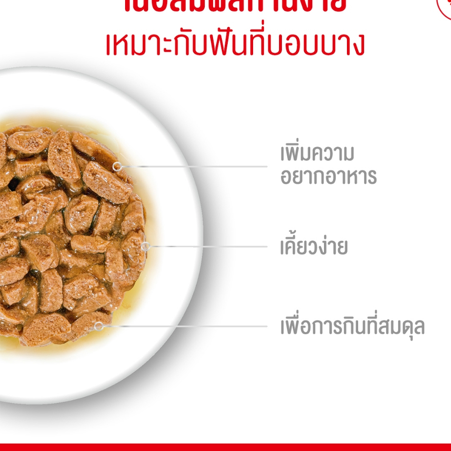 Royal Canin Ageing 11+ طعام قطط كبيرة رطب بالمرق (12 كيس) — صورة 4
